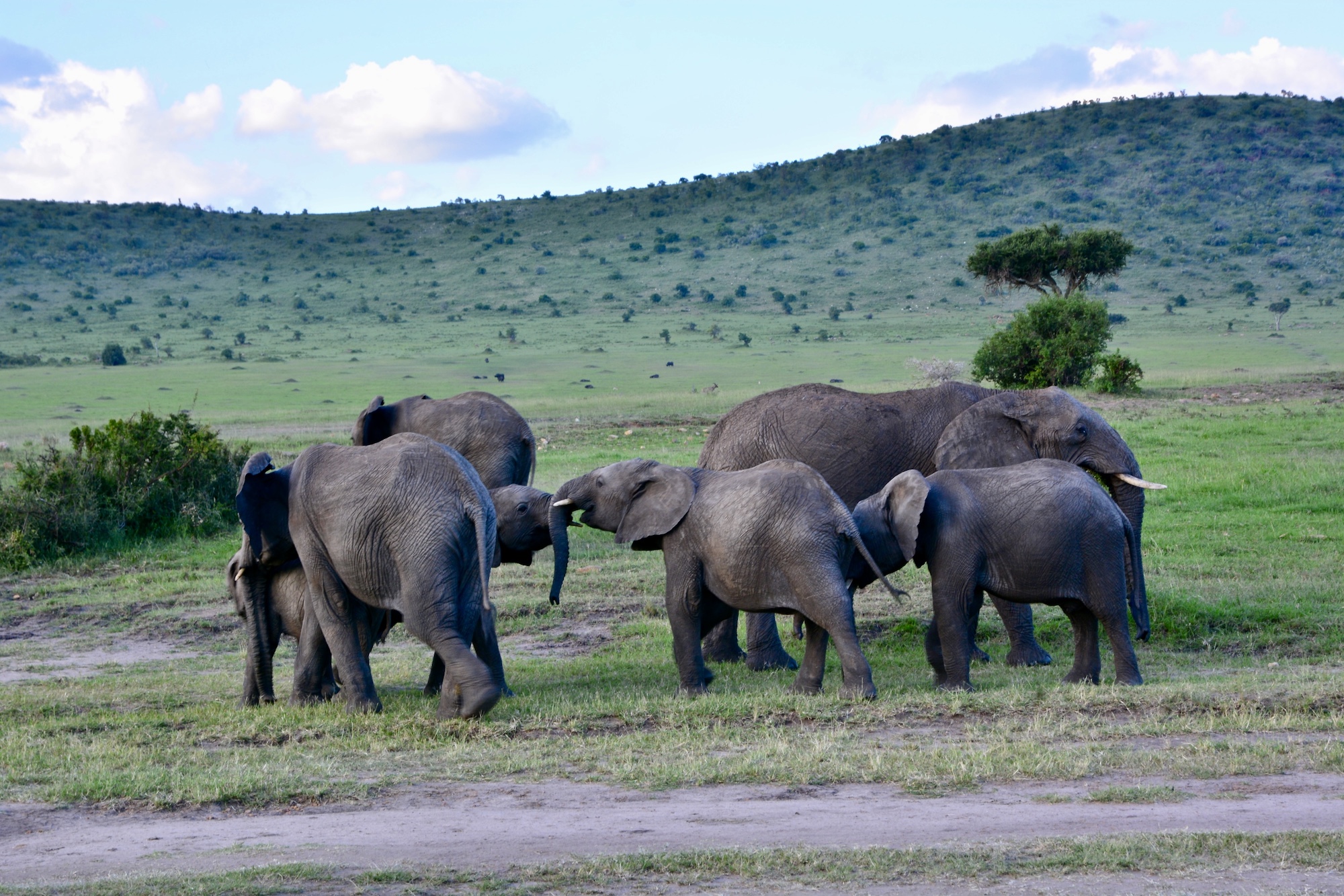 Maasai Mara National Reserve Park