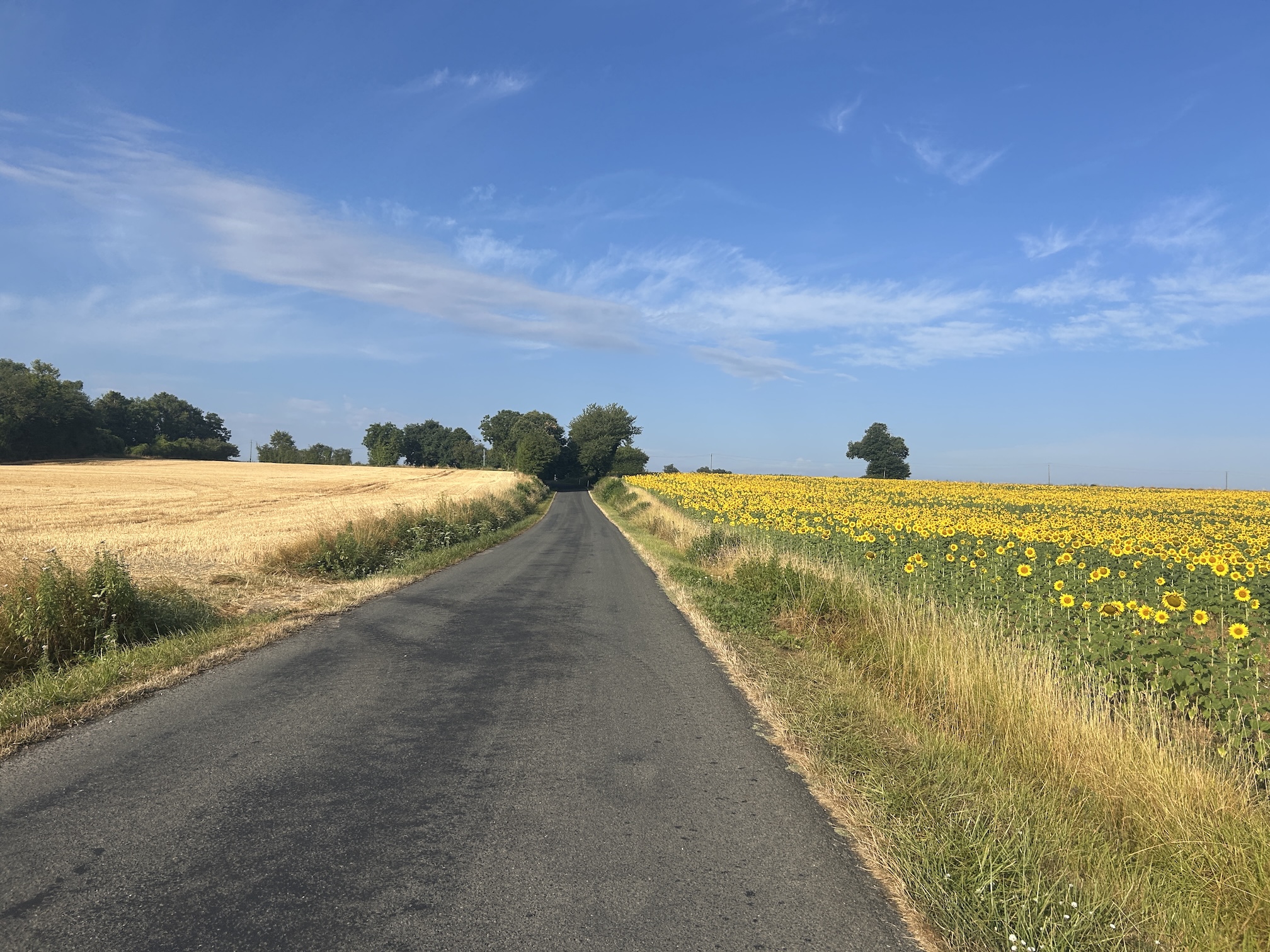 My Tour de France 🇫🇷 // Day 4: Le Mans – Saint Junien
